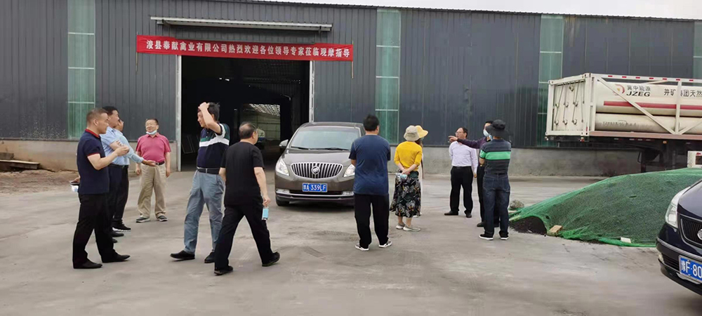 领导视察